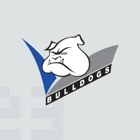Mitsubishi electric bulldogs